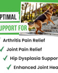 Glucosamine Chews for Dogs