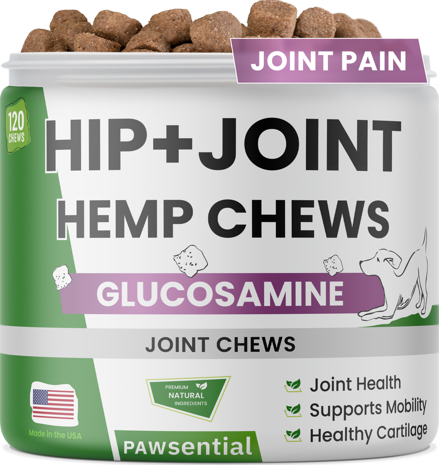 Hip & Joint with Hemp Chews – pawsential.store