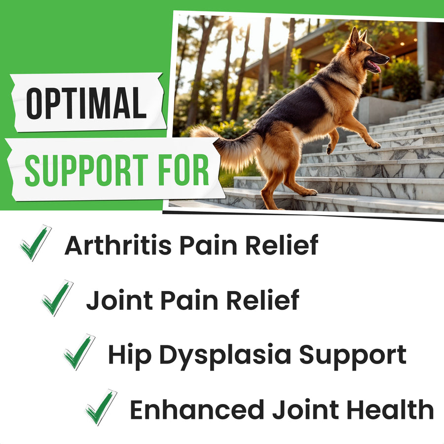 Glucosamine Chews for Dogs