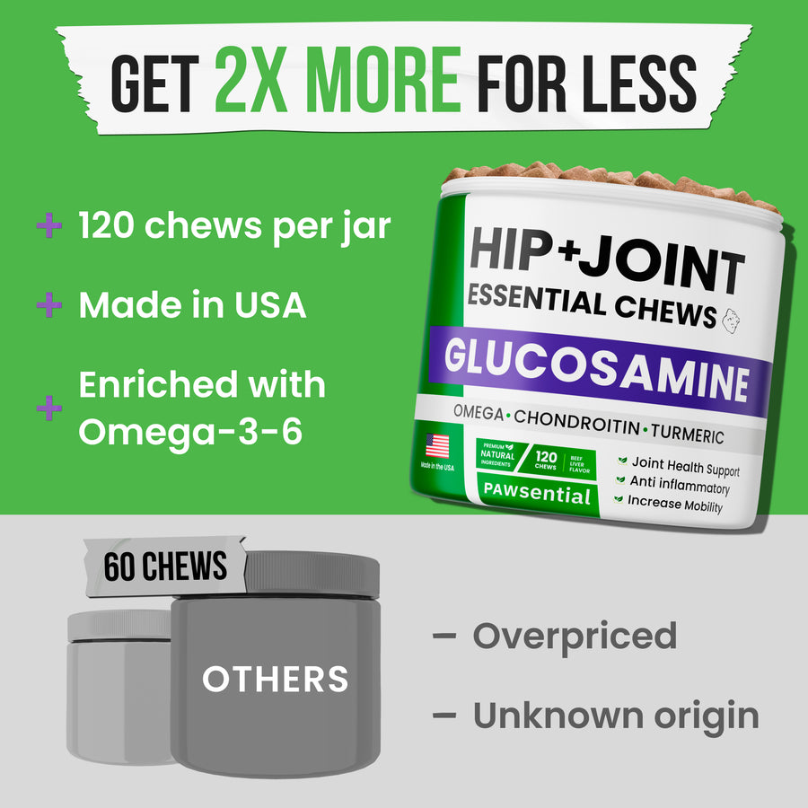 Glucosamine Chews for Dogs