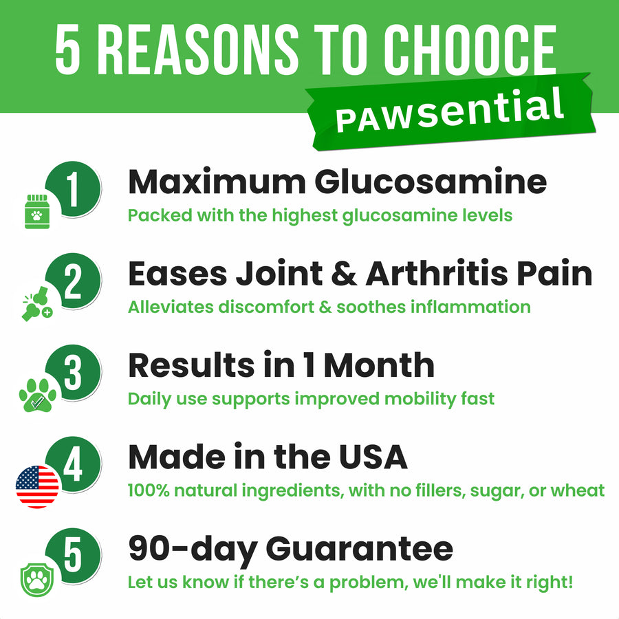 Glucosamine Chews for Dogs