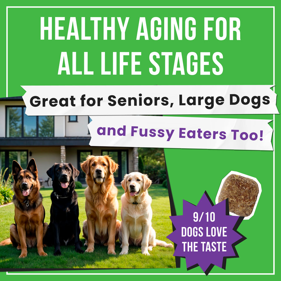 Glucosamine Chews for Dogs