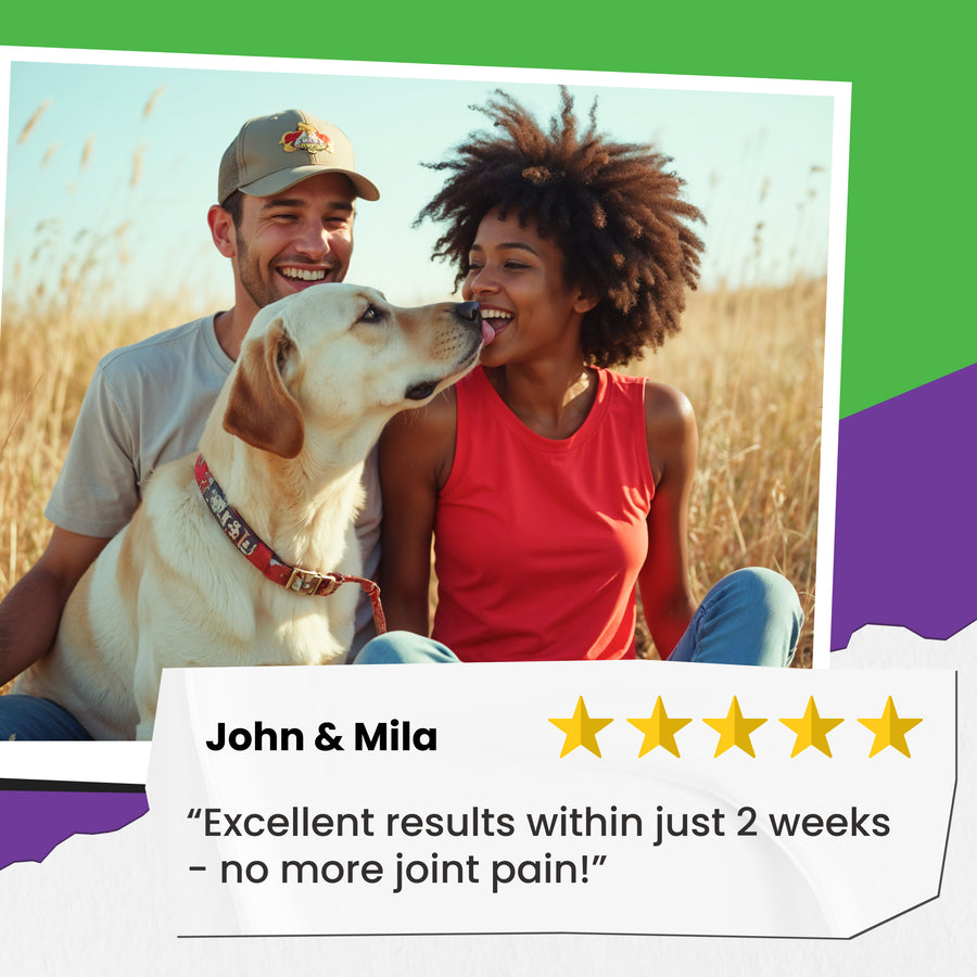 Glucosamine Chews for Dogs