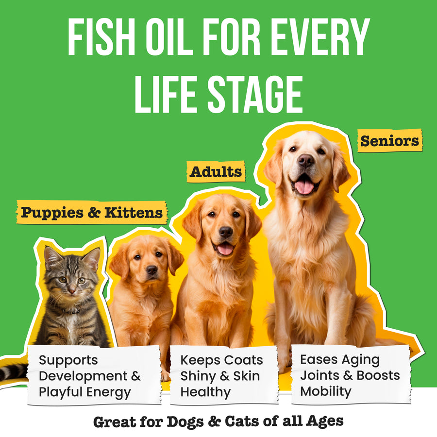Omega-3 Fish Oil 16 fl oz