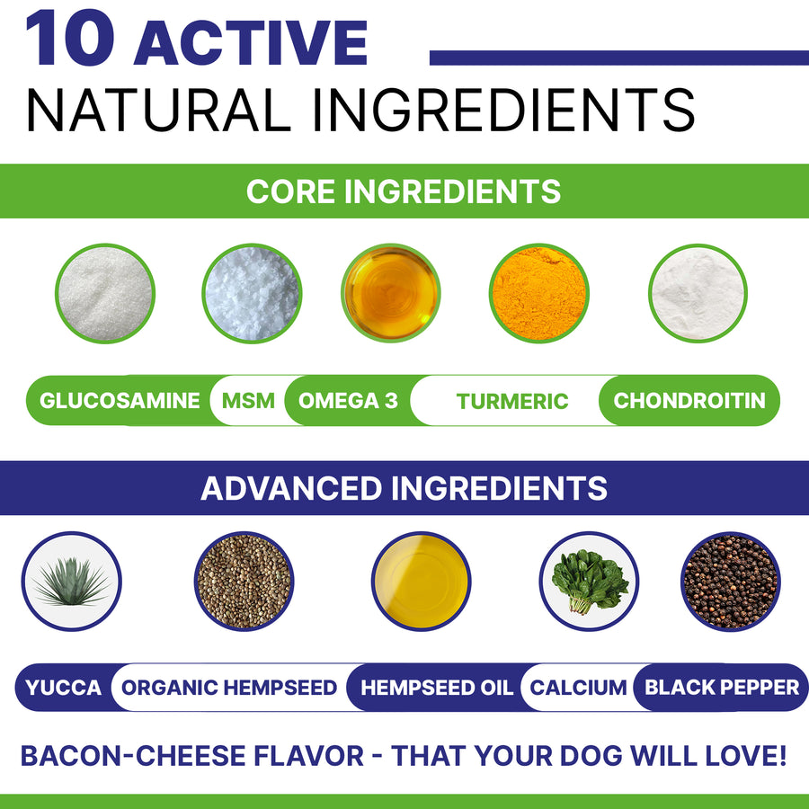 Hip & Joint with Hemp Chews