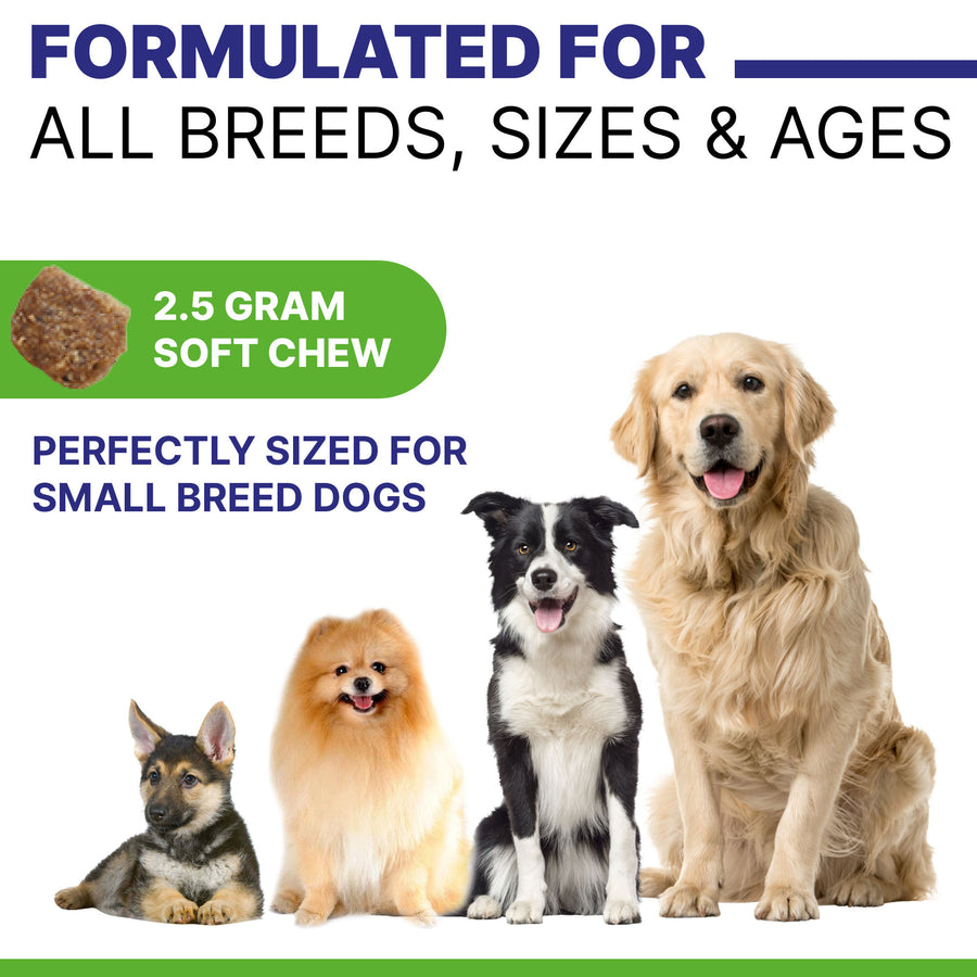 Hip & Joint with Hemp Chews